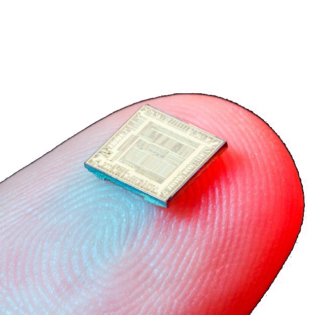 The microchip